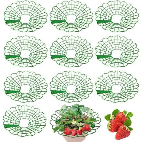 Dailygoods Erdbeerständer, 10 teilig Abnehmbarer Erdbeerhalter Pflanzenstütze für Erdbeeren Kletterhilfe für Topfpflanzen Flexibler Kunststoff Wa (1/5)
