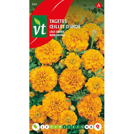 Œillet D'Inde Nain Orange - Ca. 1 gr (Livraison Gratuite) (1/2)