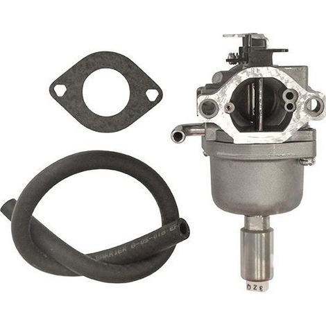 BRIGGS & STRATTON Vergaser 591731 - 796109 (1/3)