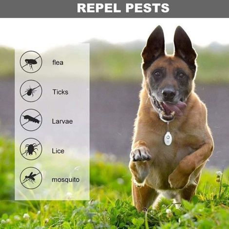 Répulsif Anti Moustique Electrique Répulsif Ultrasons Souris Anti-Rongeurs Portable Exterieur et Interieur Destructeur d'Insectes / (1/5)
