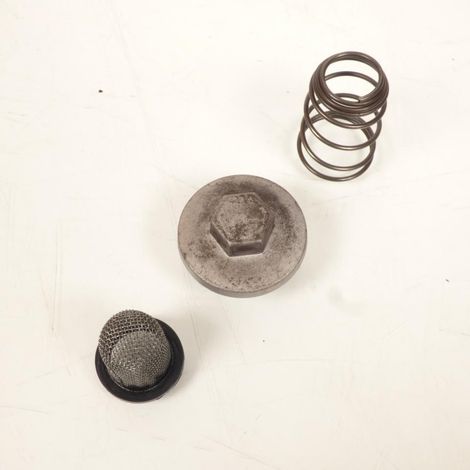 [GEBRAUCHT] Original-Ölstandskappe für gebrauchten chinesischen 50er-Roller (1/3)