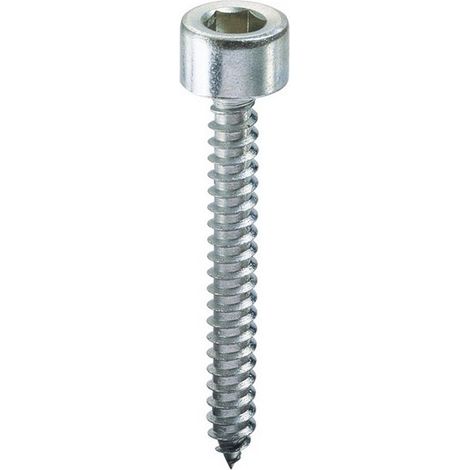 VITE AUTOFILETTANTE TC CON ESAGONO INCASSATO  mm. 5,5x25