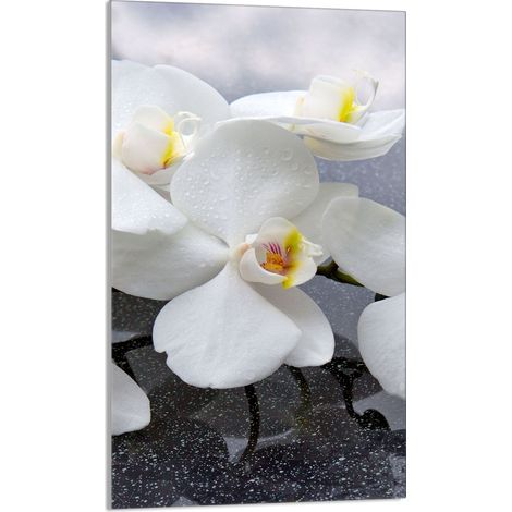 TAGLIERE IN VETRO 30x52 Orchidea (1/5)