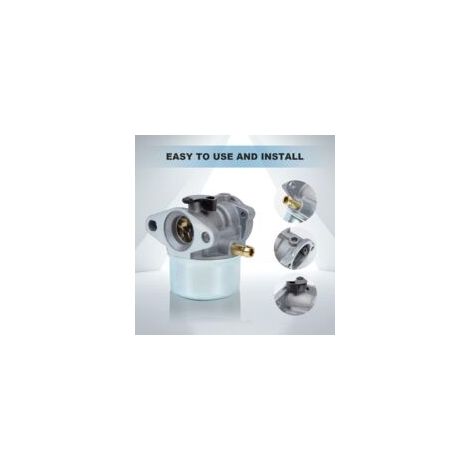 Kit carburateur FanPaYY 799868 avec pompe d'injection et filtre à air pour moteurs Briggs & Stratton 4-7 CV, tondeuses à gazon 499059 498170 497586 497314