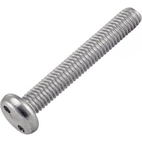 Vis Inviolable TC 2 Trous Snake Eyes M6X30 Inox A2