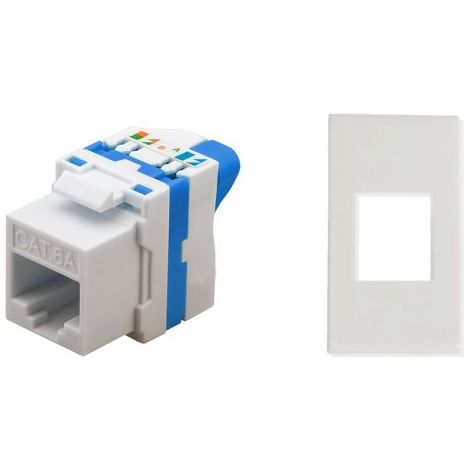 TechLy presa di rete RJ45 UTP CAT.6a tooless + Ave Blanc