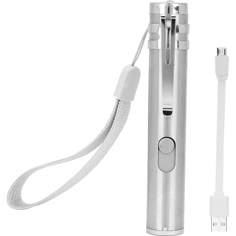 Stylo Laser Chat Acier Inoxydable Rechargeable USB Jouet Interactif Lumineux pour Chien et Chat Compact Durable Léger 28g (1/5)