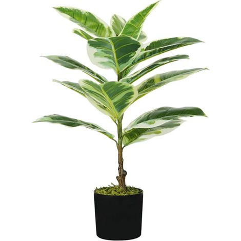 Pianta Ficus Elastica In Polietilene Con 15 Foglie E Vaso Con Muschio 65cm (1/5)