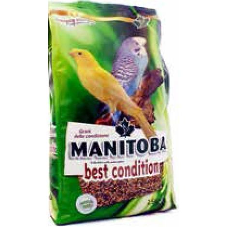 Best Condition Manitoba - Semi della salute - 2,5 kg
