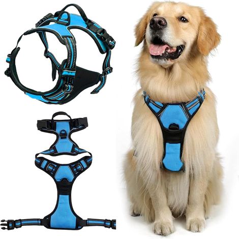 Harnais anti-traction pour chien, facile à porter, convient aux chiens de taille moyenne (bleu M)