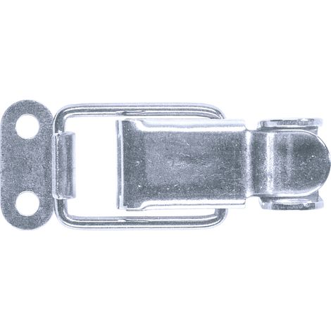 GOEBEL - 100 x Grenouillères avec porte cadenas Acier inoxydable A2 42 + PC Trou pour rivet 4,2 mm (1/5)
