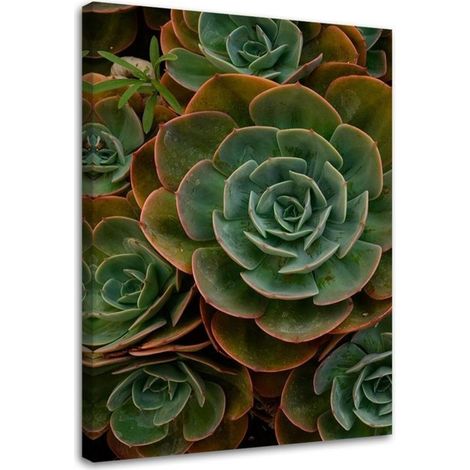 Tableau sur toile Fleur de succulente verte 40x60 (1/5)
