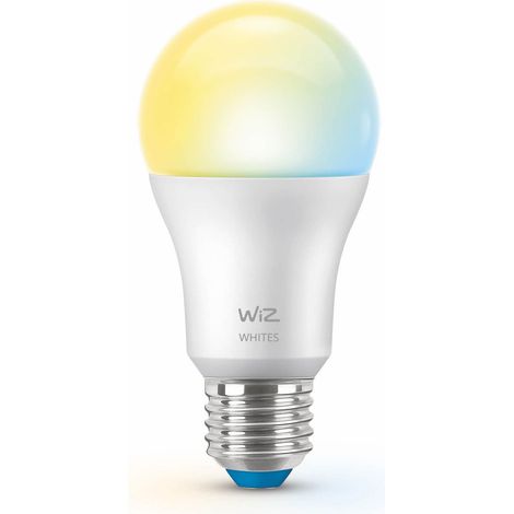 Wifi smart led e27 60w 806lm bianco caldo freddo confezione da 1 (1/5)