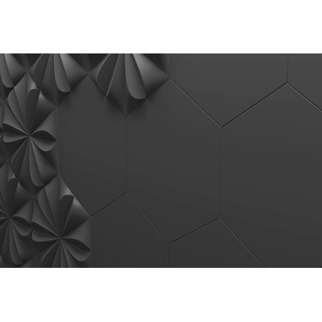 Carrelage mural faience effet graphique HEXA LISO 24,7x21,5cm - Hexagone 24,7x21,5 cm Noir - Mat - boîte de 0.76 m2 - Gioia Materia (1/2)
