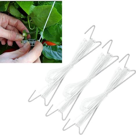Accroches de Soutien pour Tomates [10 pièces] - Crochets de Jardin en Fer avec Cordage 10 mètres pour plantes grimpantes (1/5)