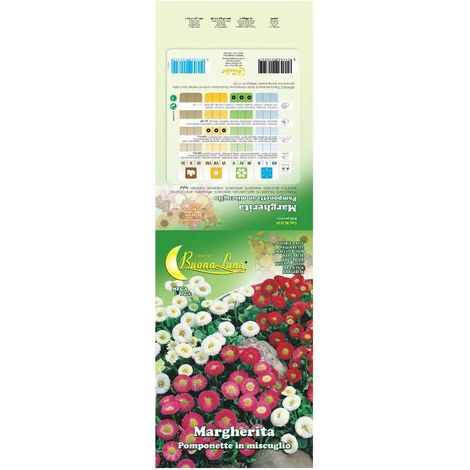 10 x SEMI GARDEN MARGHERITA POMPONETTE