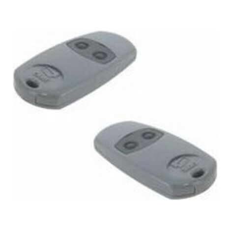 Pack de 2 Télécommandes CAME TOP-432EE (1/4)