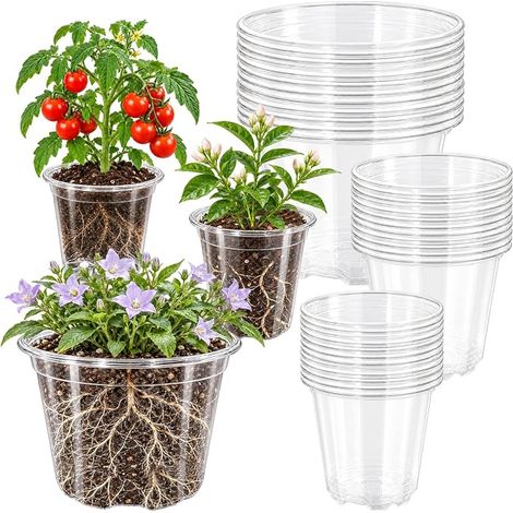 36 Piece Seedling Pot Set Three Sizes Orchid Pot Transparent (1/5)