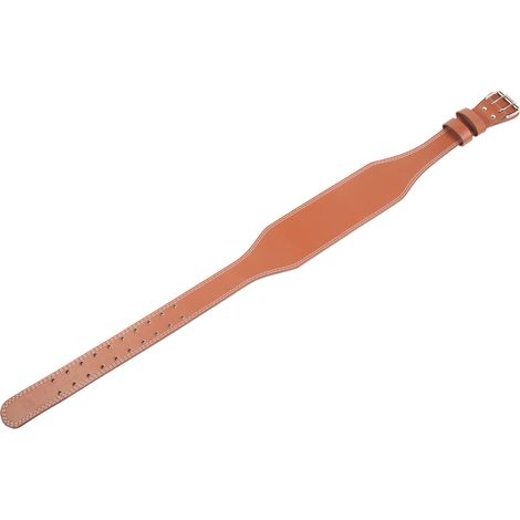 Ceinture d'entraînement pour soulevé de terre et squat, protection lombaire pour musculation, couleur marron. (1/5)