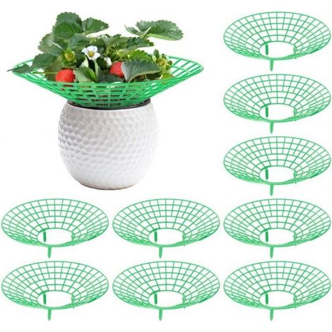 10 Pack Plant Supports, Strawberry Supports for Gardening, Strawberry Growing Frame, Prevent Rot (1/5)