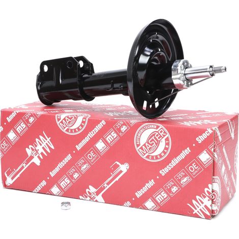 AMMORTIZZATORE anteriore DX/SX RENAULT FLUENCE (L3) (1/5)