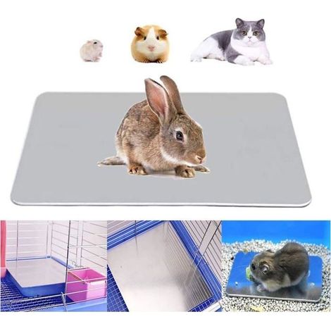 Tapis rafraîchissant en aluminium pour lapin, hamster, chiot, chaton, cochon d'Inde, chinchilla et autres petits animaux. (1/4)