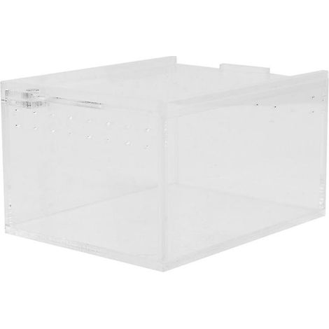 1 Stück Reptilienbox für Baumfrösche