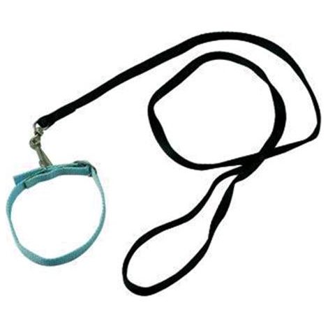 Guinzaglio Per Cani in Nylon Blinky Con Cappio 1,5Cm/Sez Cm. 150