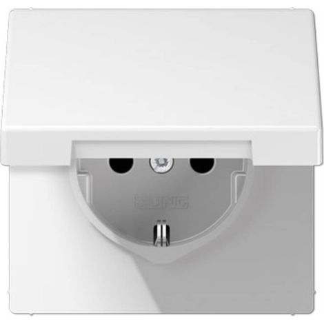 Jung Frutto Presa con coperchio ribaltabile Bianco LS1520KIKLWW 1 pz. (1/2)
