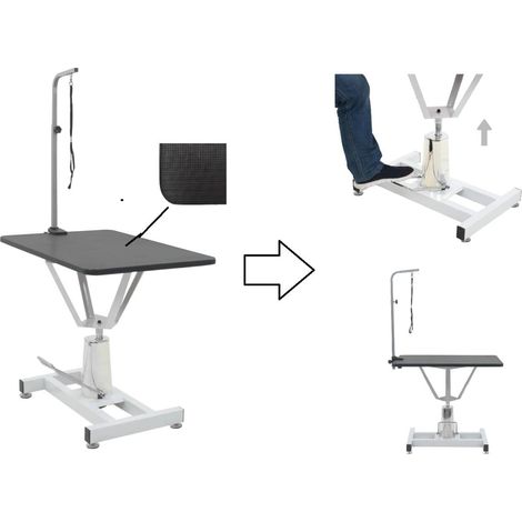 Table de toilettage avec réglage hydraulique pour chiens surface antidérapante (1/2)