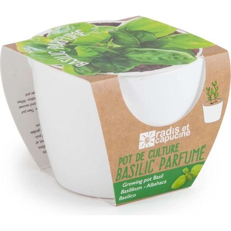 Pot de culture en céramique - Basilic Grand vert - 8 cm