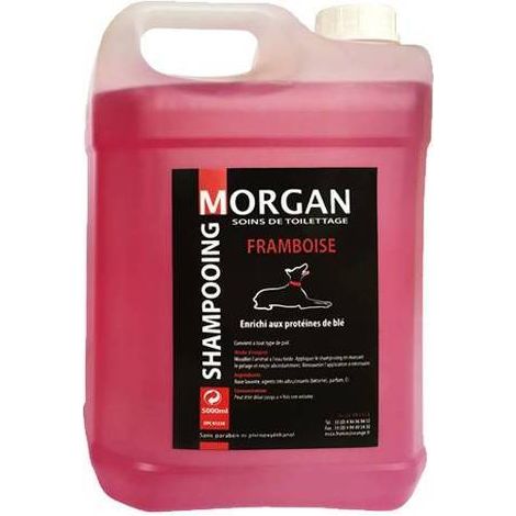 Shampoing protéiné Framboise Morgan : 5 litres (1/2)