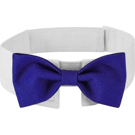 Katzenhalsband, Hundefliege, formelles Krawattenhalsband, dekoratives Haustieraccessoire, Fotorequisite für Katzen und Hunde, blau, Größe S.