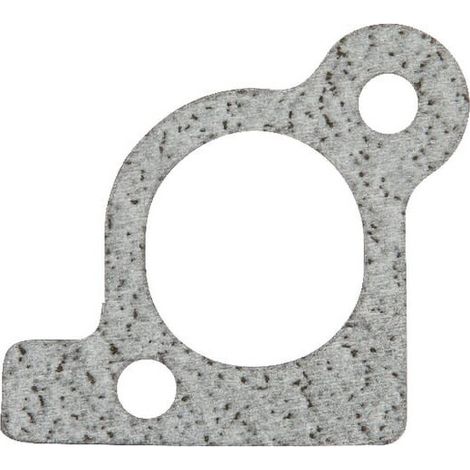 Joint de collecteur d'admission BRIGGS ET STRATTON 806418
