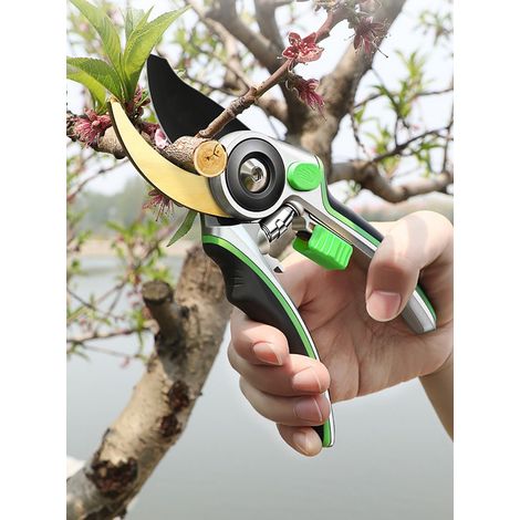 Tijeras De Podar Y Tijeras De Podar MINKUROW, Tijeras Profesionales Para Plantas Sharp Rose Scissors (1/4)