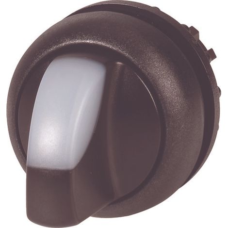 Interruptor M22S-wrlk-W, iluminado, 2 posiciones, blanco
