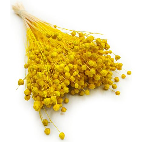 Lin séché - Jaune