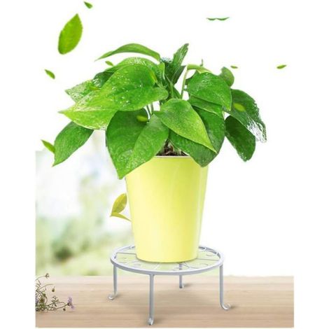 Support Pour Plantes - En Fer Forgé Revêtu Poudre - Blanc - 22,9 Cm - Pour Intérieur Et Extérieur (1/5)