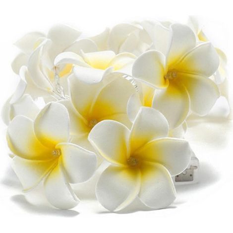 Guirlande lumineuse décorative à piles, 10 LED blanches, couleur frangipanier (1/5)
