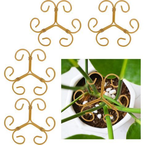 4 Stängelhalter für Monstera, Innenpflanzen, Stützglieder für Stängelpflanzen. (1/5)