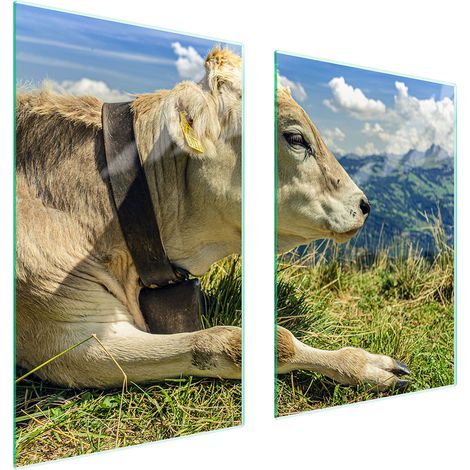Assiette de protection en verre pour la cuisine 65x52 vache (1/5)