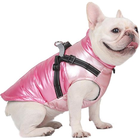 Manteau Chaud pour Chien, Vêtements d'automne et d'hiver pour Animaux de Compagnie,L (1/5)