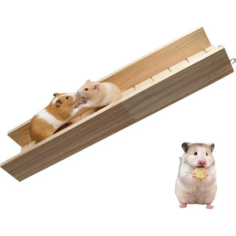 Guinea Pig Toy - Rabbit Ramp - Guinea Pig Accessory (1/5)