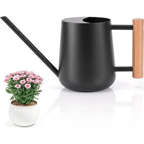 Arrosoir en Acier Inoxydable Arrosoir pour Jardin Plante Succulente