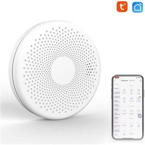 [JAMAIS UTILISÉ] Détecteur de fumée et de monoxyde de carbone intelligent - Wifi 2 en 1 - Co détecteur de son de gaz - Fonction d'alarme de lumière stroboscopique