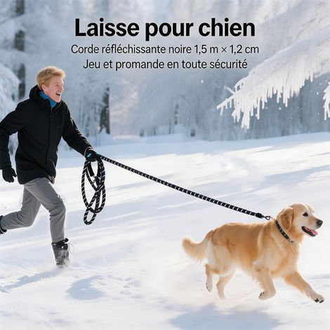 Laisse pour chien en corde réfléchissante noire épaissie, 1,5 m × 1,2 cm, laisse tressée haute résistance pour chiens de grande taille- Noir (1/5)
