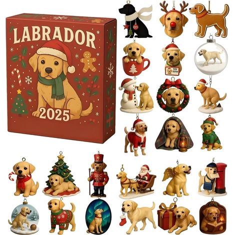 Calendrier de l'Avent de Noël pour chiens 2025, 2D - Décoration en acrylique 24 jours - Compte à rebours - Décoration pour la maison, les adultes, les, les cadeaux de fête, les (1/5)