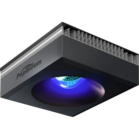 Rifflicht, Smarte Steuerung, Volles Spektrum, Schwarzes Licht-Hängeset, 100V-240V EU-Stecker-c (1/2)
