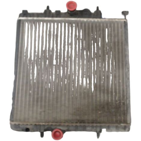 [PRODUIT D'OCCASION] Radiateur PEUGEOT 206 ♻️ Ref Oe. 1330h2 - Garantie à vie (1/4)
