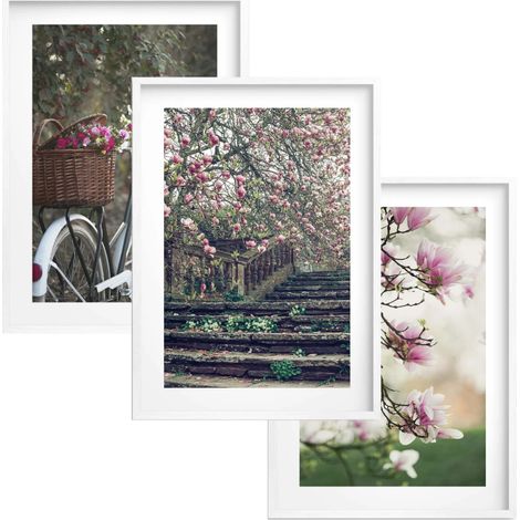 Bilder Poster für die Wand im Rahmen Blumen Dekoration für das Wohnzimmer Schlafzimmer 30x40